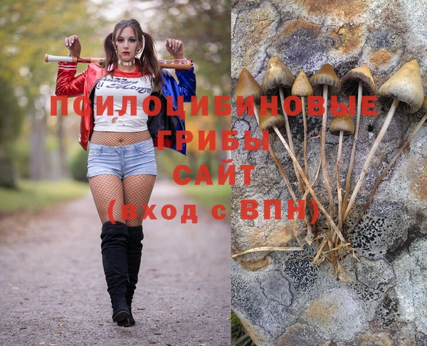 мяу мяу мука Волоколамск